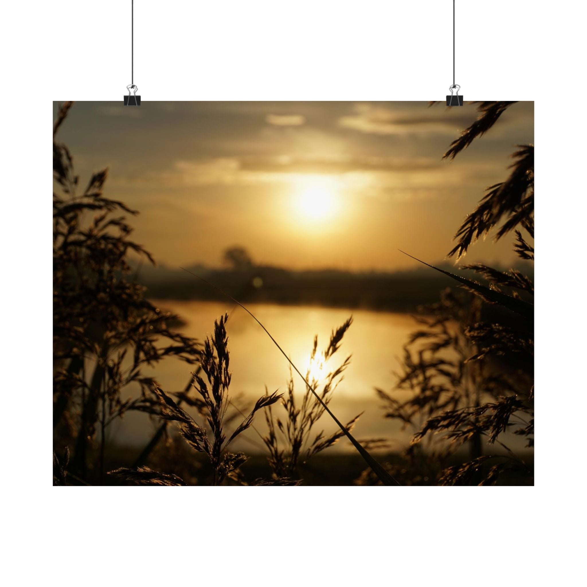 Morning Through The Reeds poster