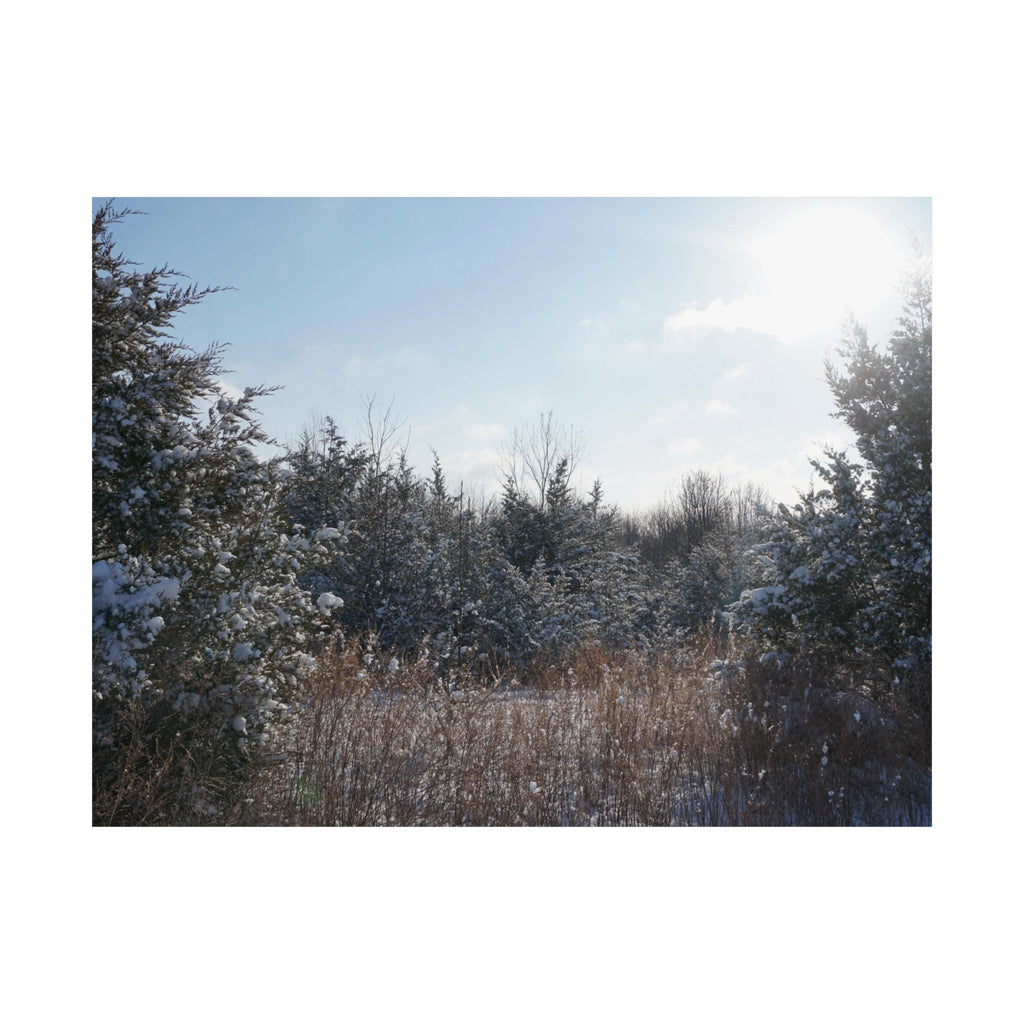 Light Dusting Of Snow poster