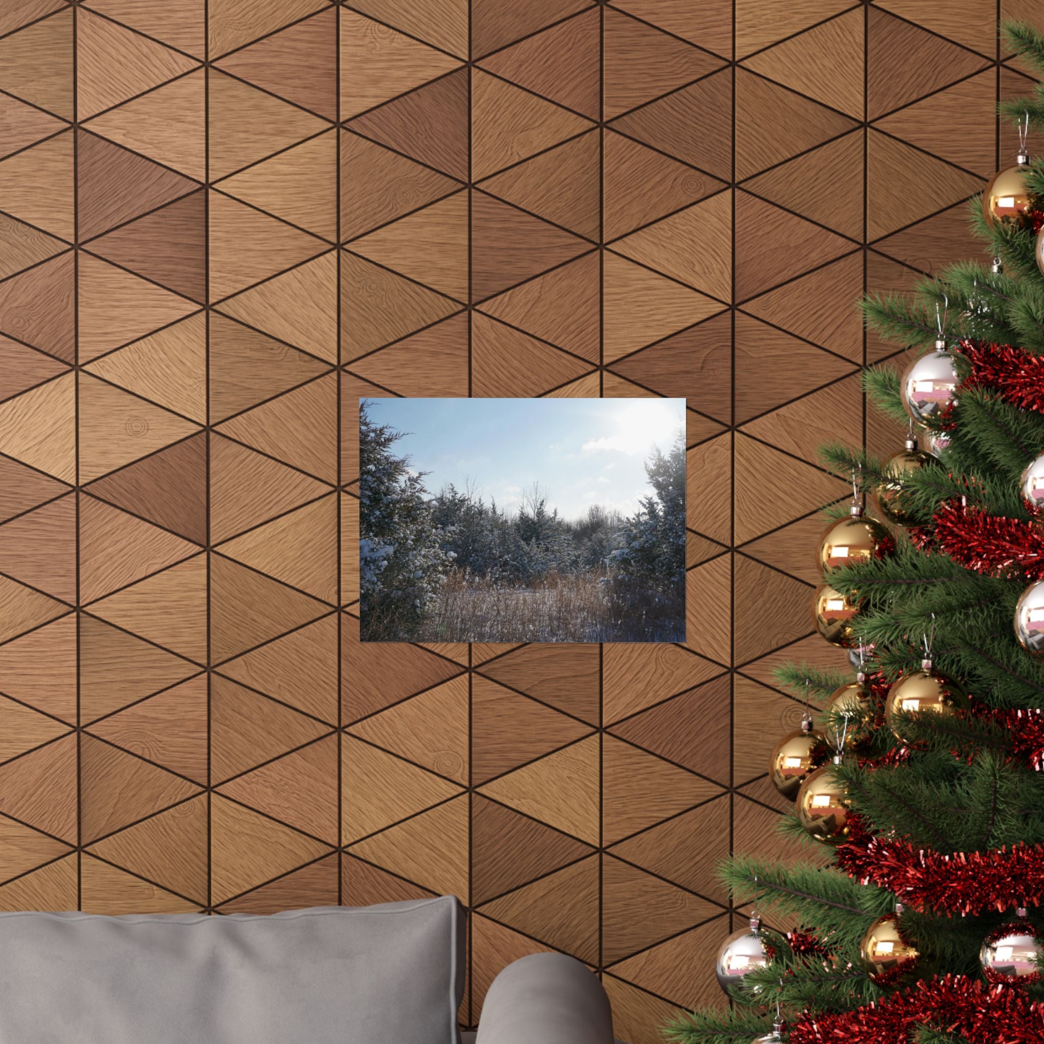 Light Dusting Of Snow poster
