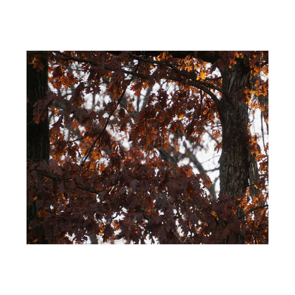 Looks Like Fall poster