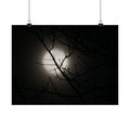 Beacon In The Mist poster