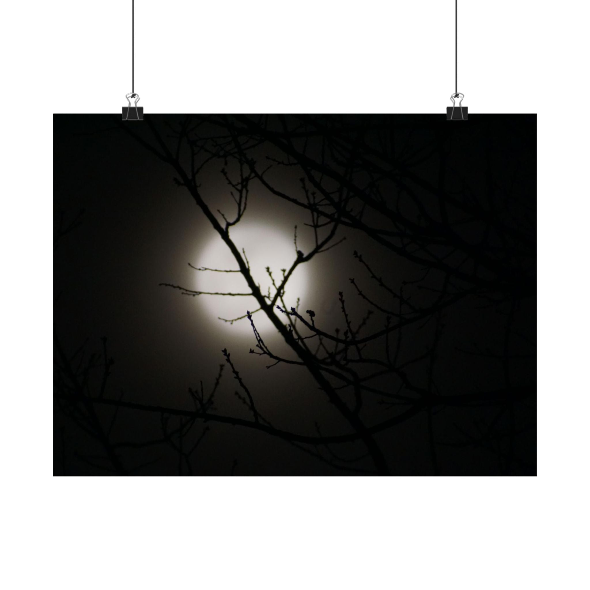 Beacon In The Mist poster
