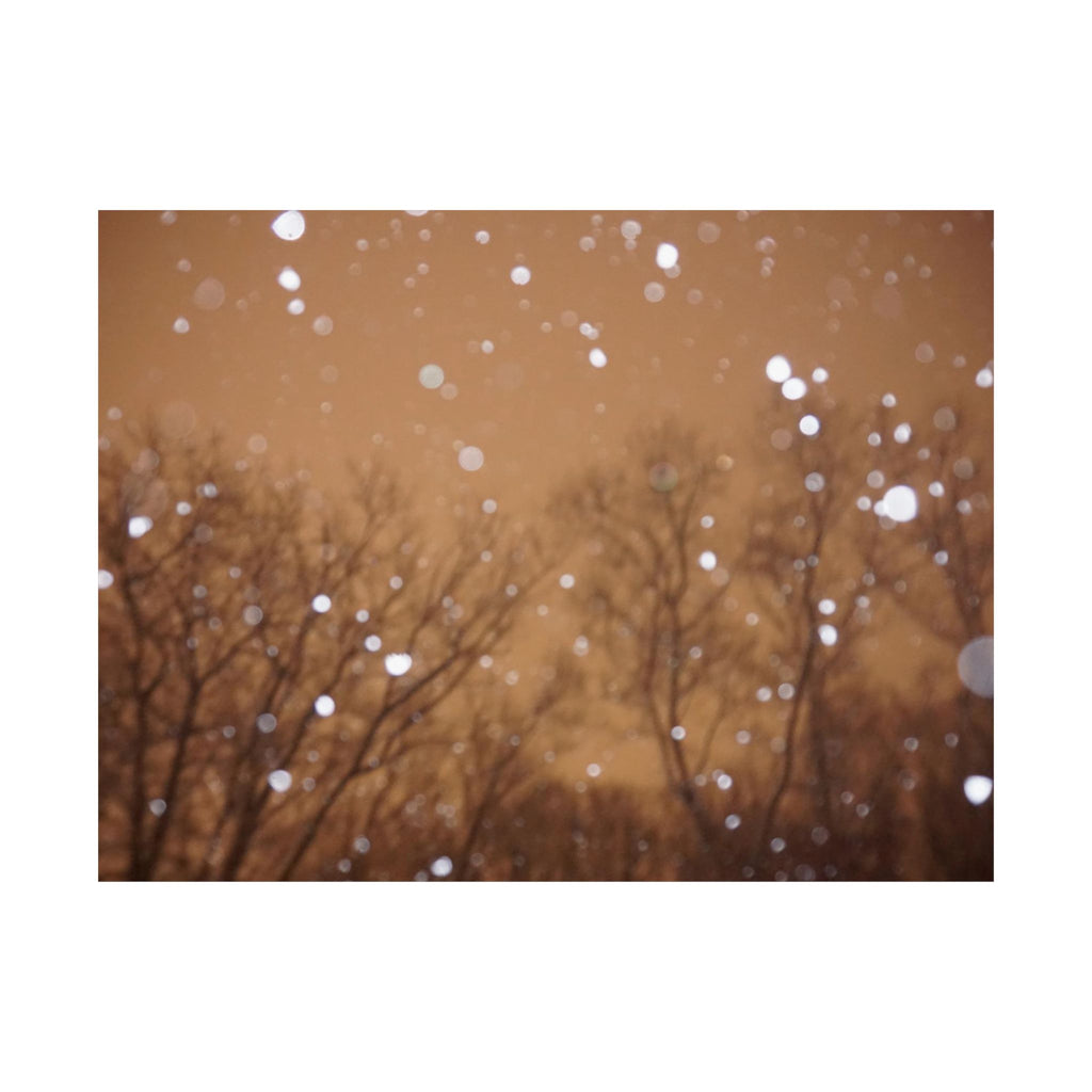 Rose Gold Snow poster