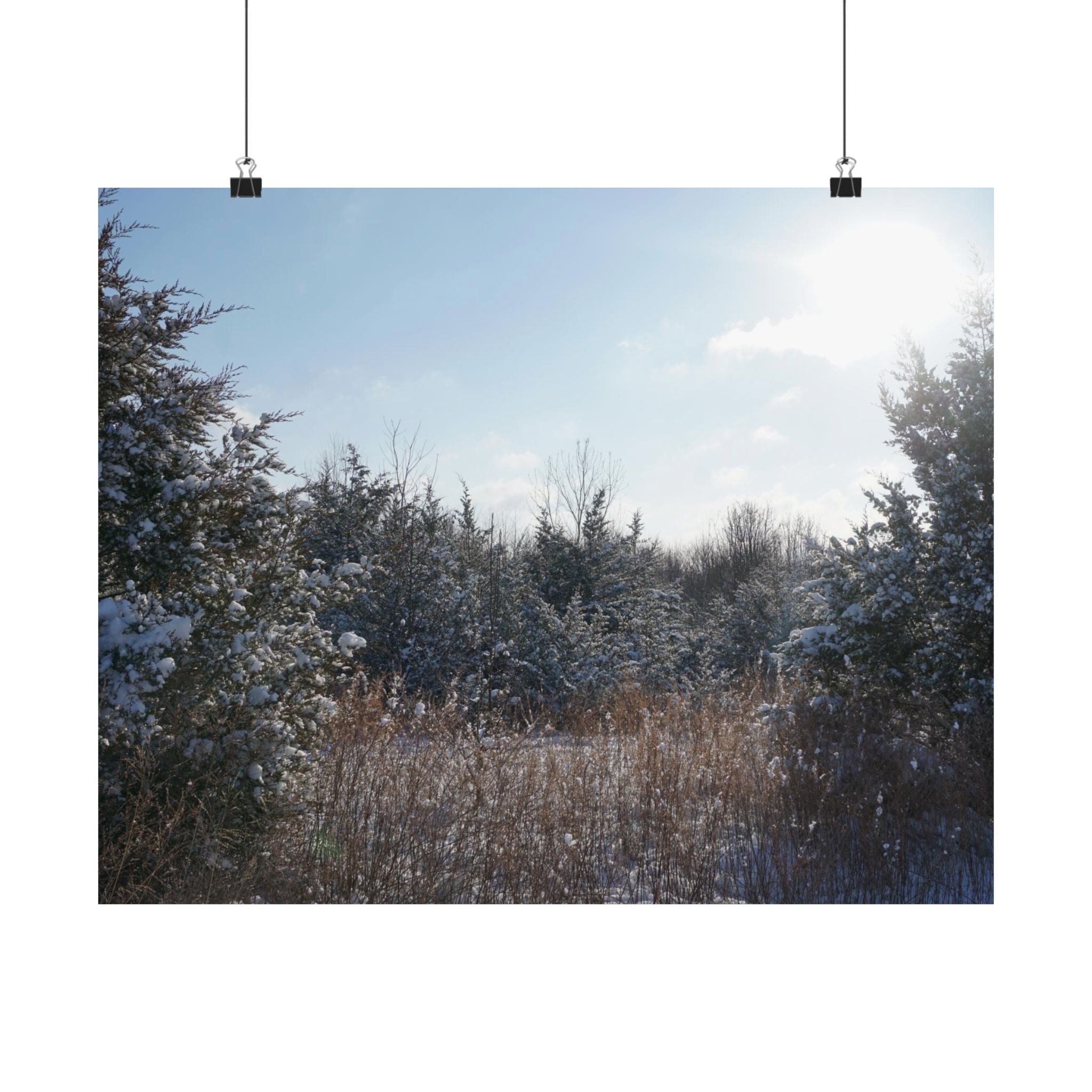 Light Dusting Of Snow poster