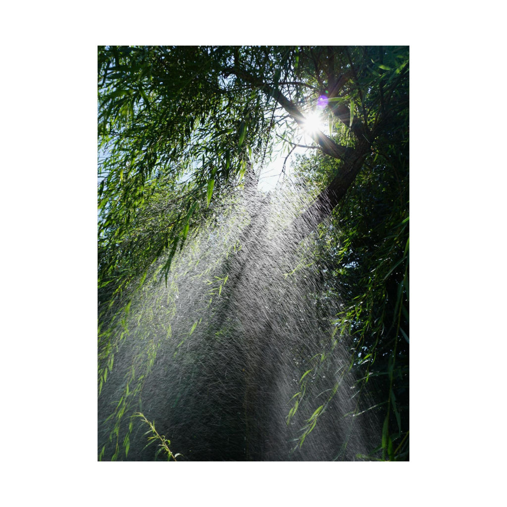 Sprinkled Through Branches poster