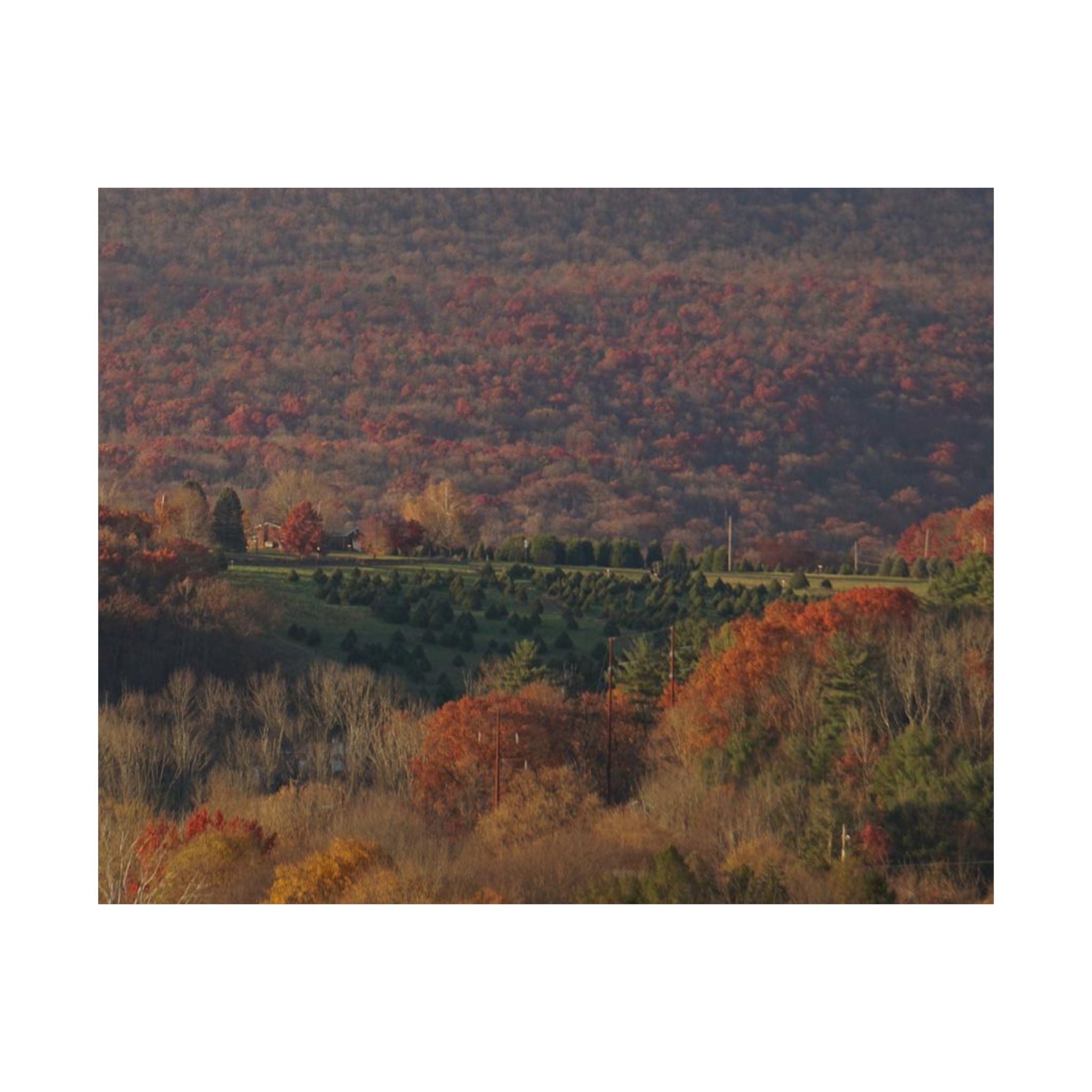 Little Autumn Homestead poster