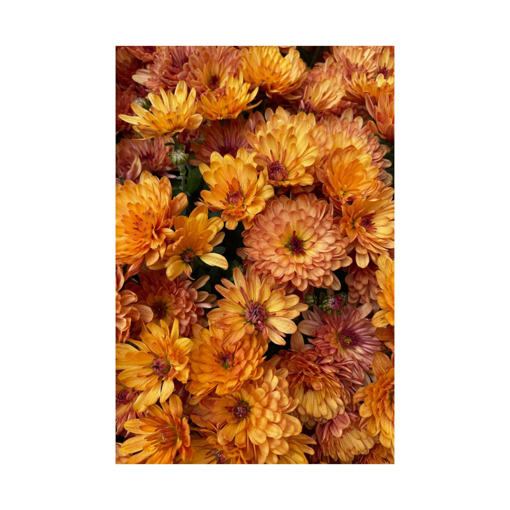 Mums The Word poster V