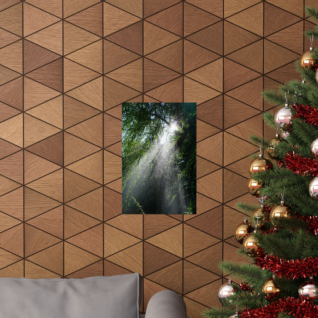 Sprinkled Through Branches poster