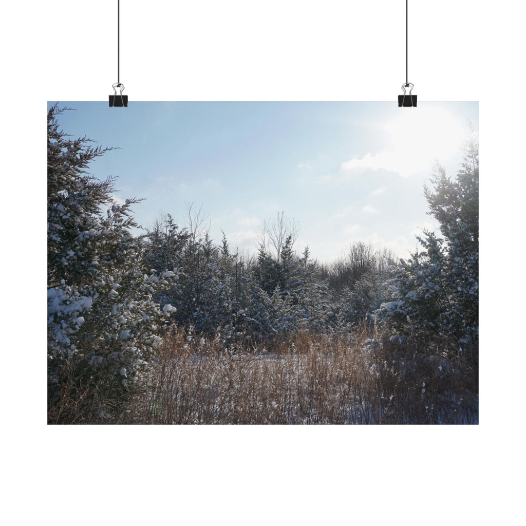 Light Dusting Of Snow poster