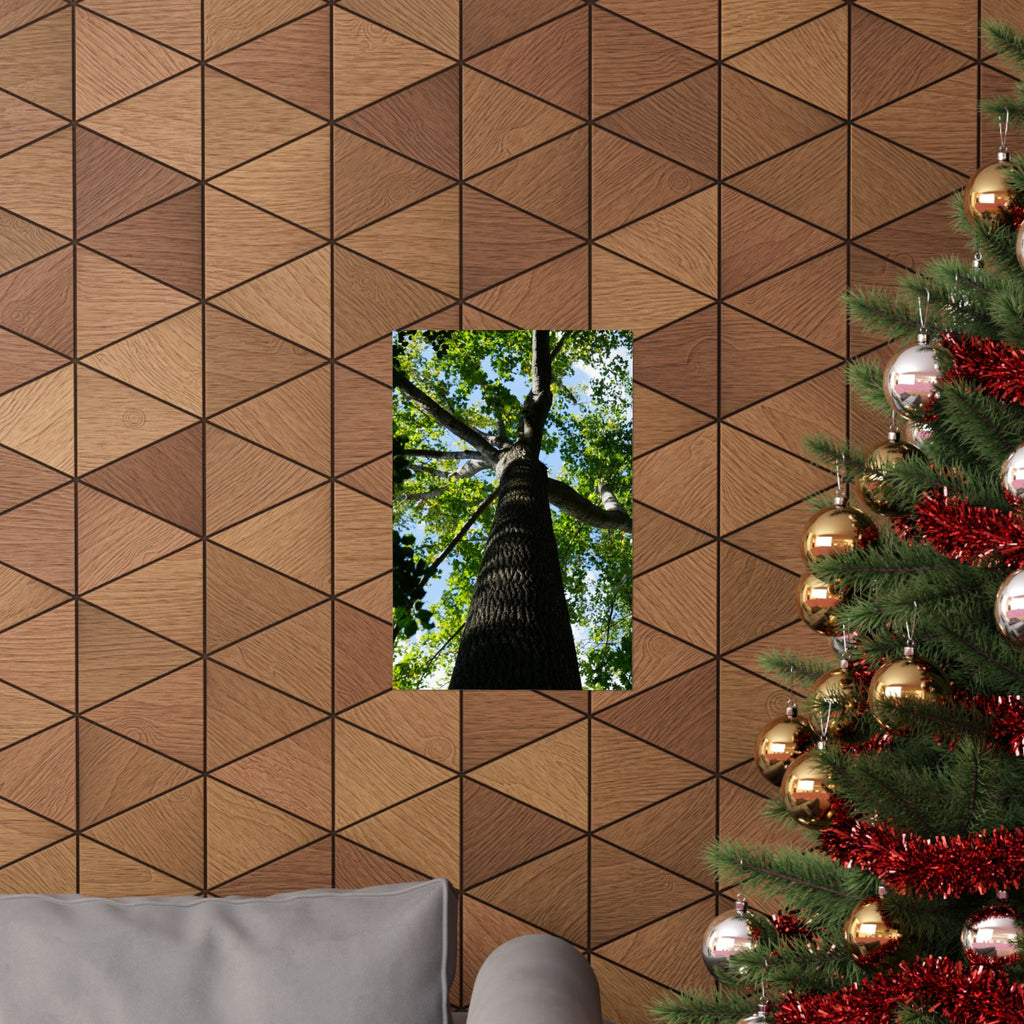 The Treetop poster