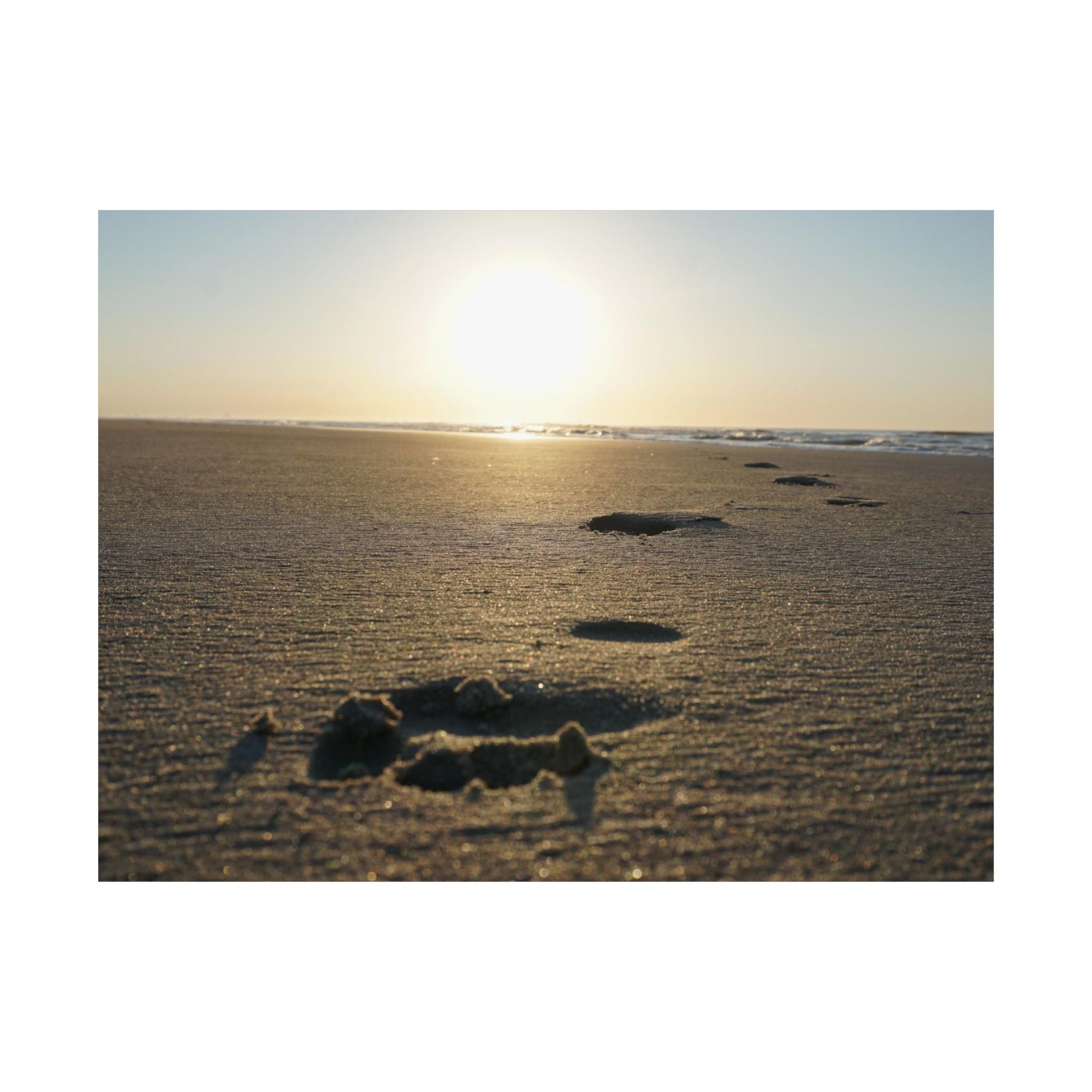 Prints In The Sand poster