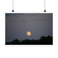 Light Gold Moon poster