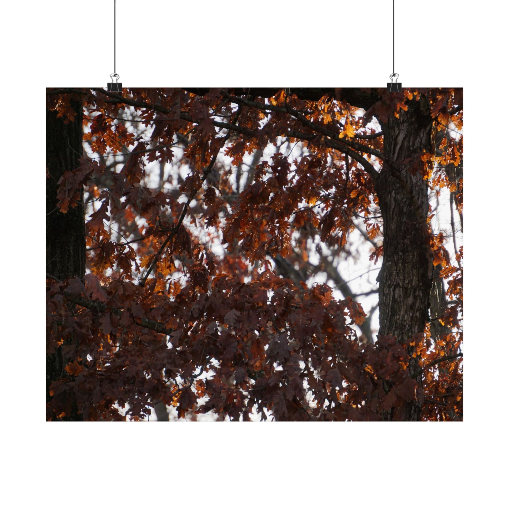 Looks Like Fall poster