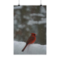 Winter Visitor poster