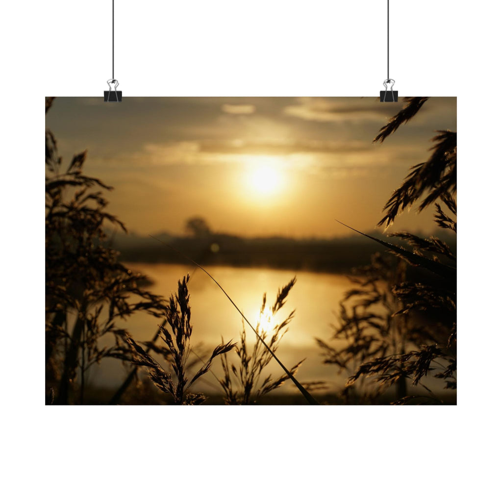 Morning Through The Reeds poster