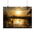 Morning Through The Reeds poster