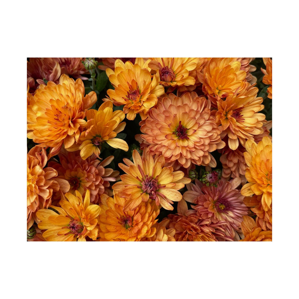 Mums The Word poster H