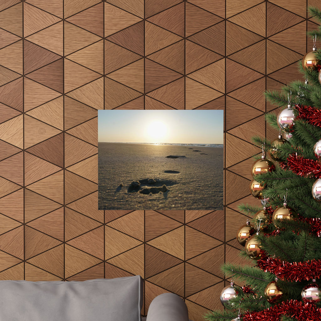 Prints In The Sand poster