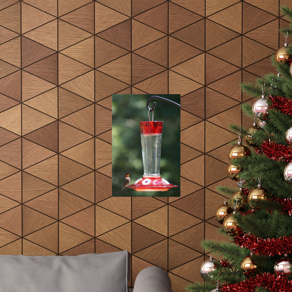 Heads Up Hummingbird poster