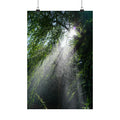 Sprinkled Through Branches poster