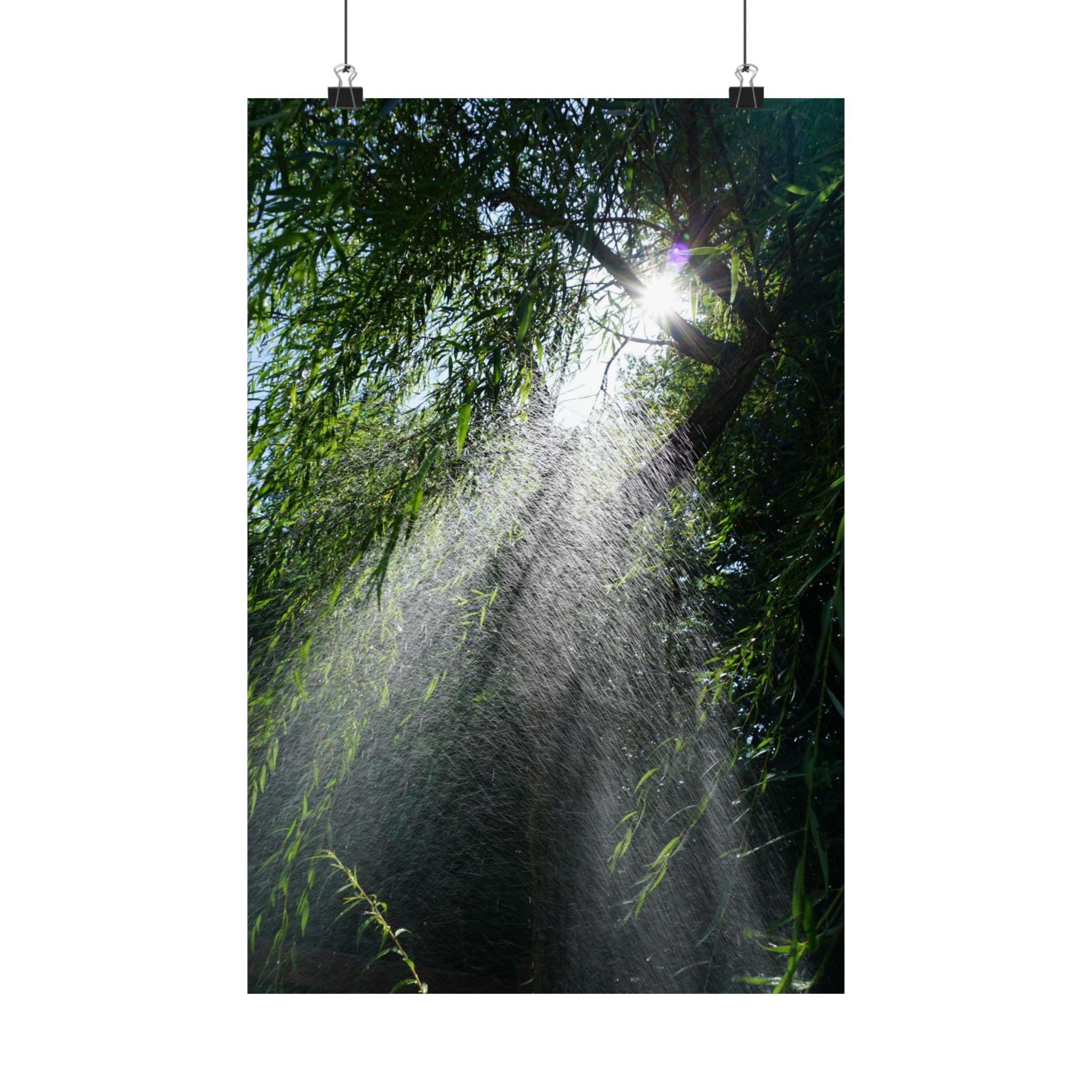 Sprinkled Through Branches poster