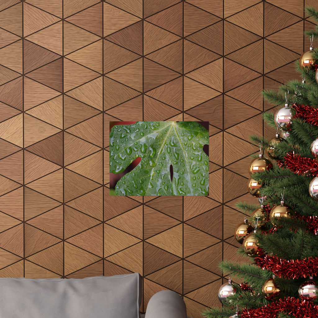Fig Tree Tears poster