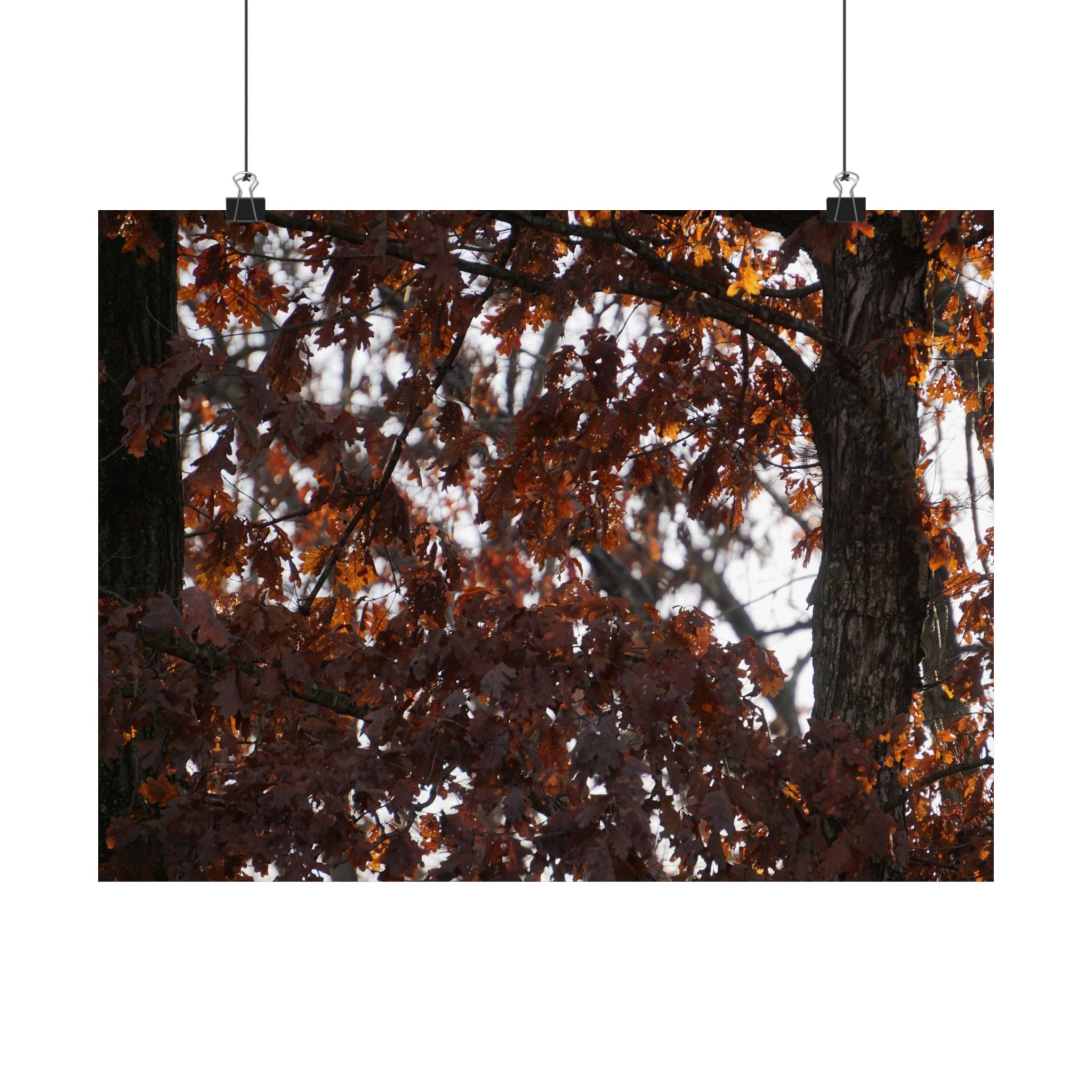 Looks Like Fall poster