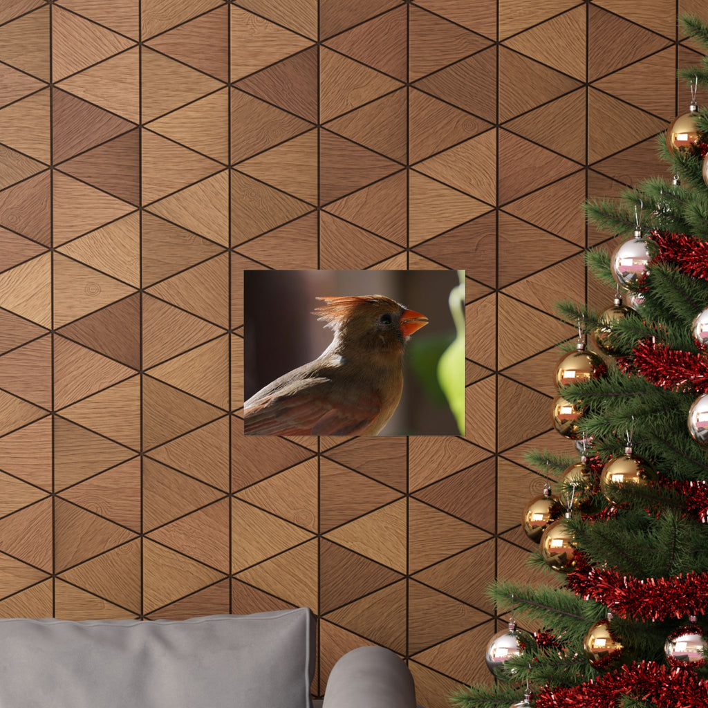 Profile Of A Cardinal poster