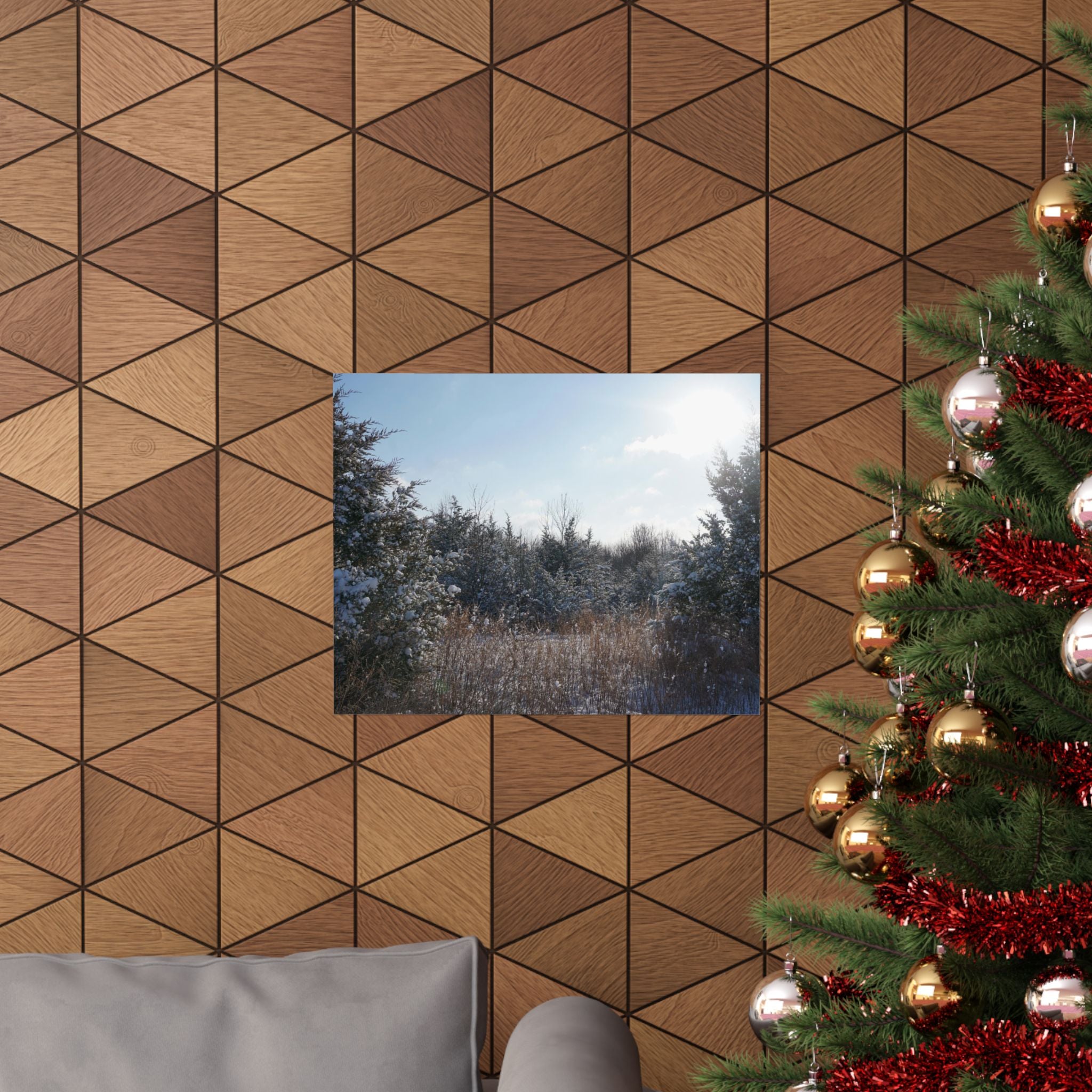 Light Dusting Of Snow poster