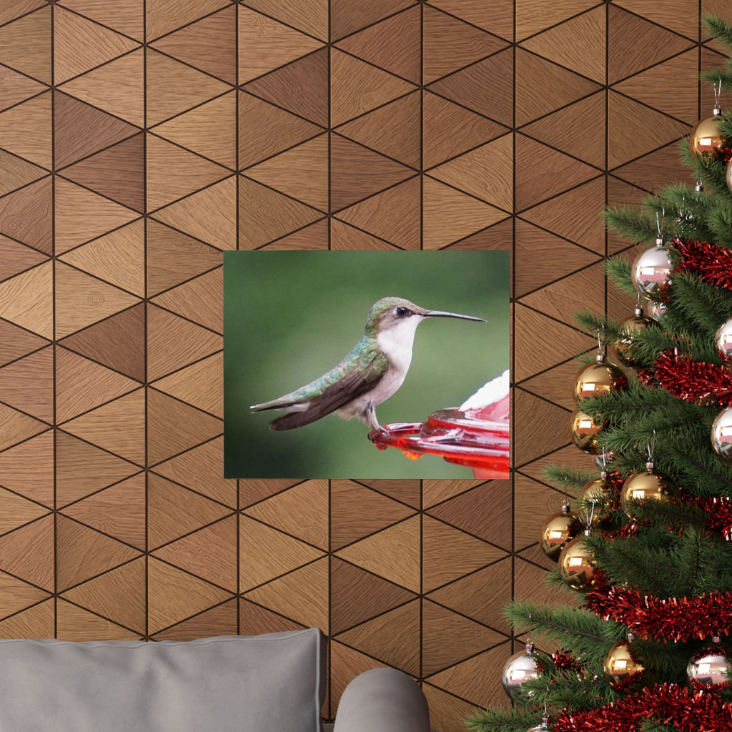 The Hummingbird poster
