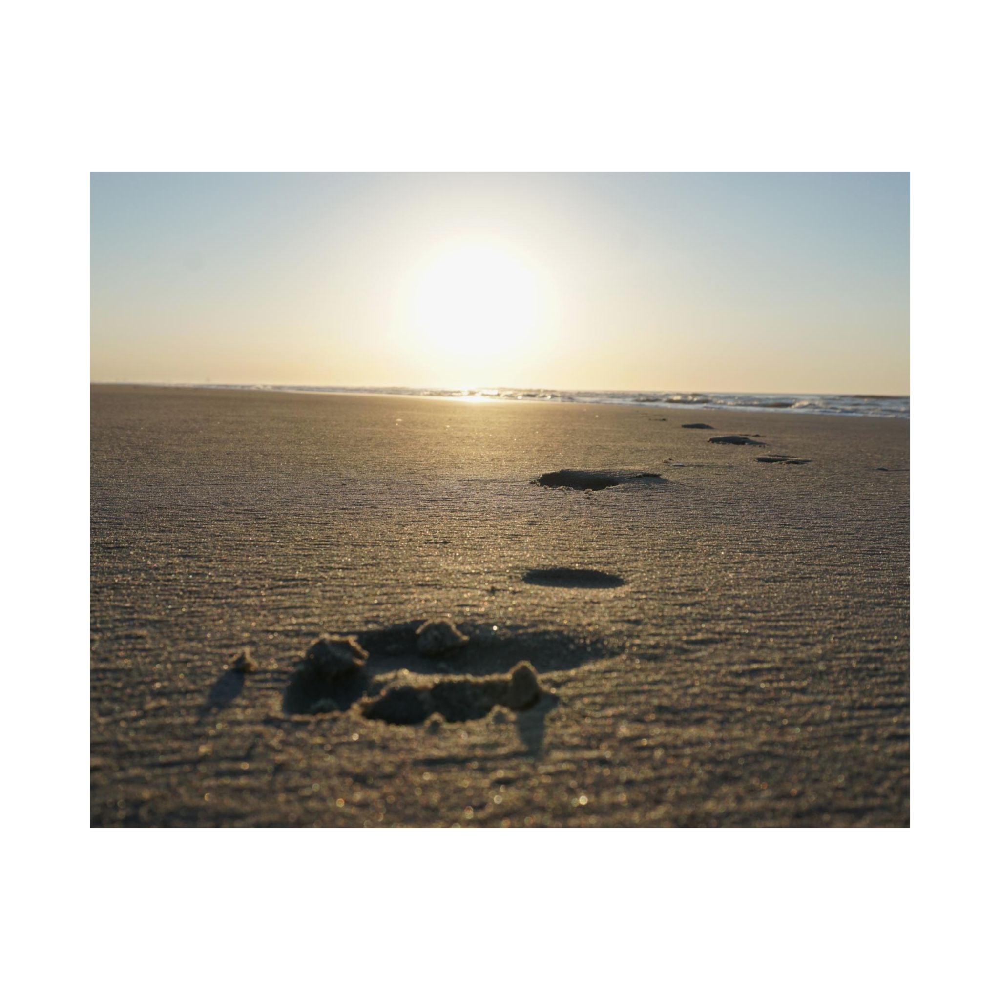 Prints In The Sand poster