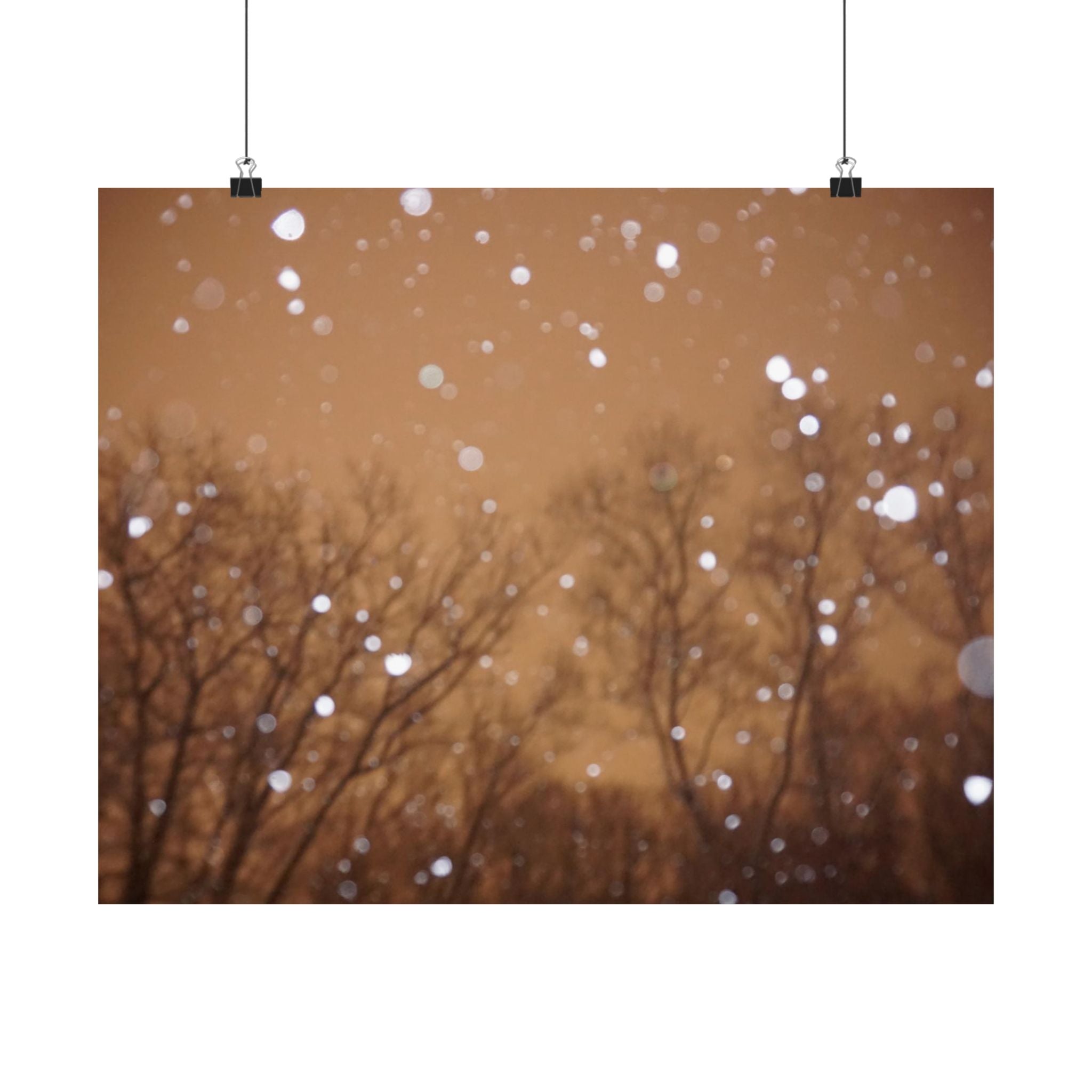 Rose Gold Snow poster