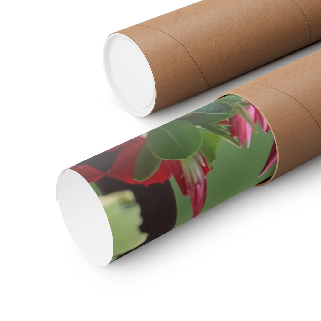 Searcher Squirrel poster