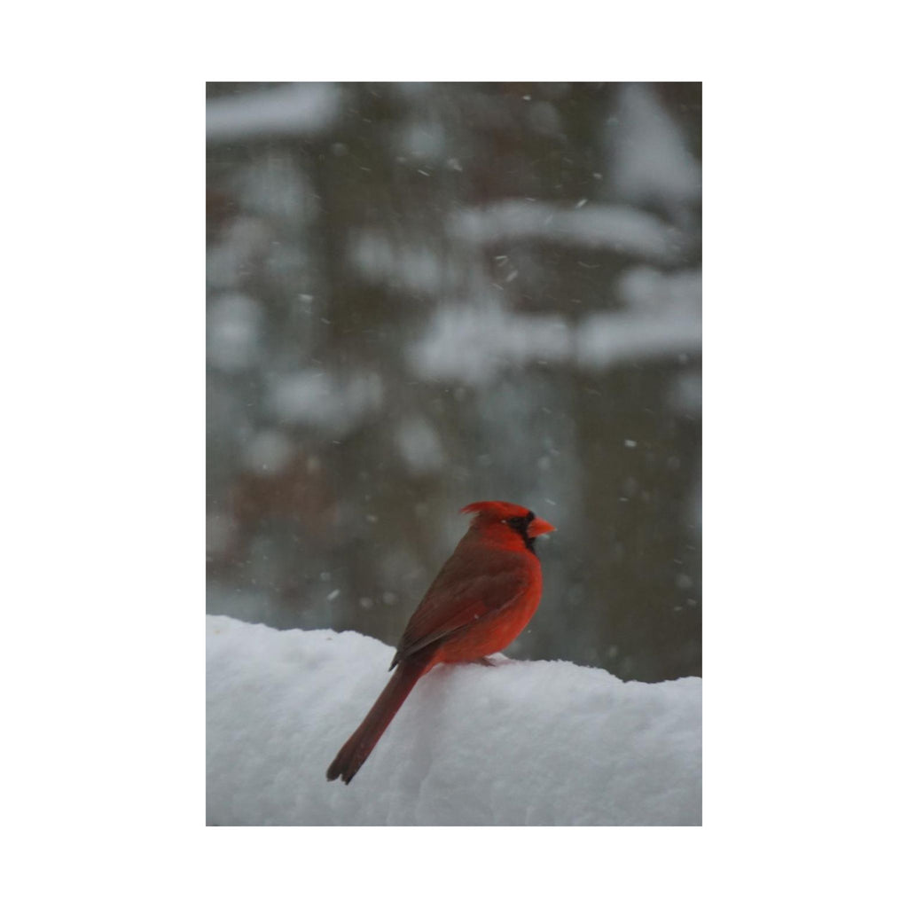 Winter Visitor poster
