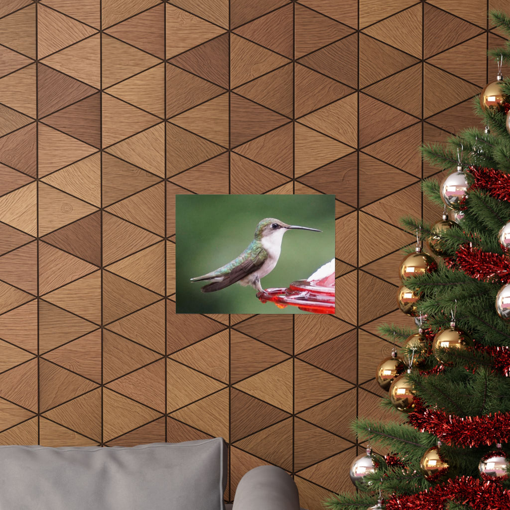 The Hummingbird poster