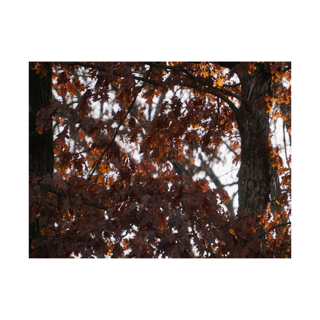 Looks Like Fall poster