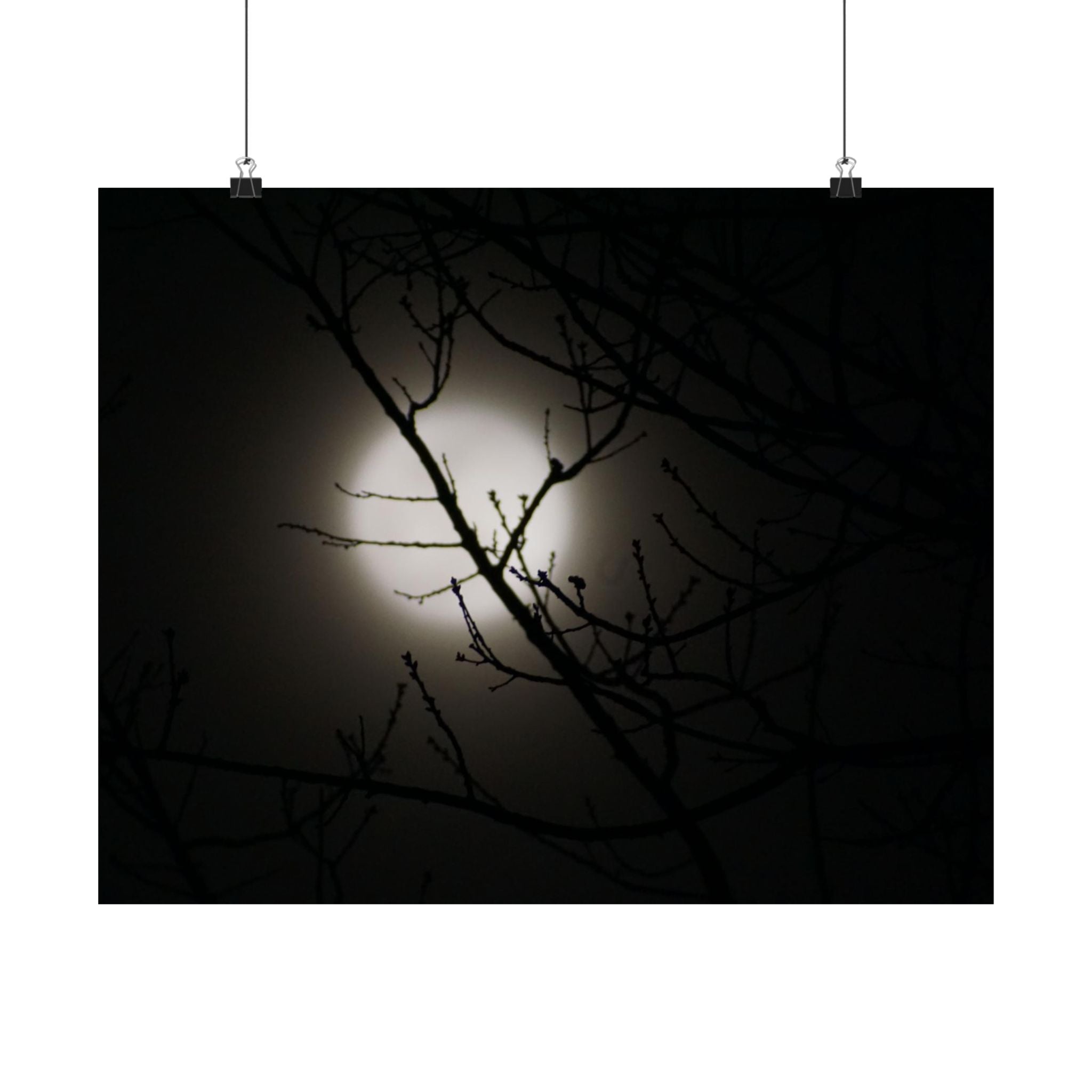 Beacon In The Mist poster