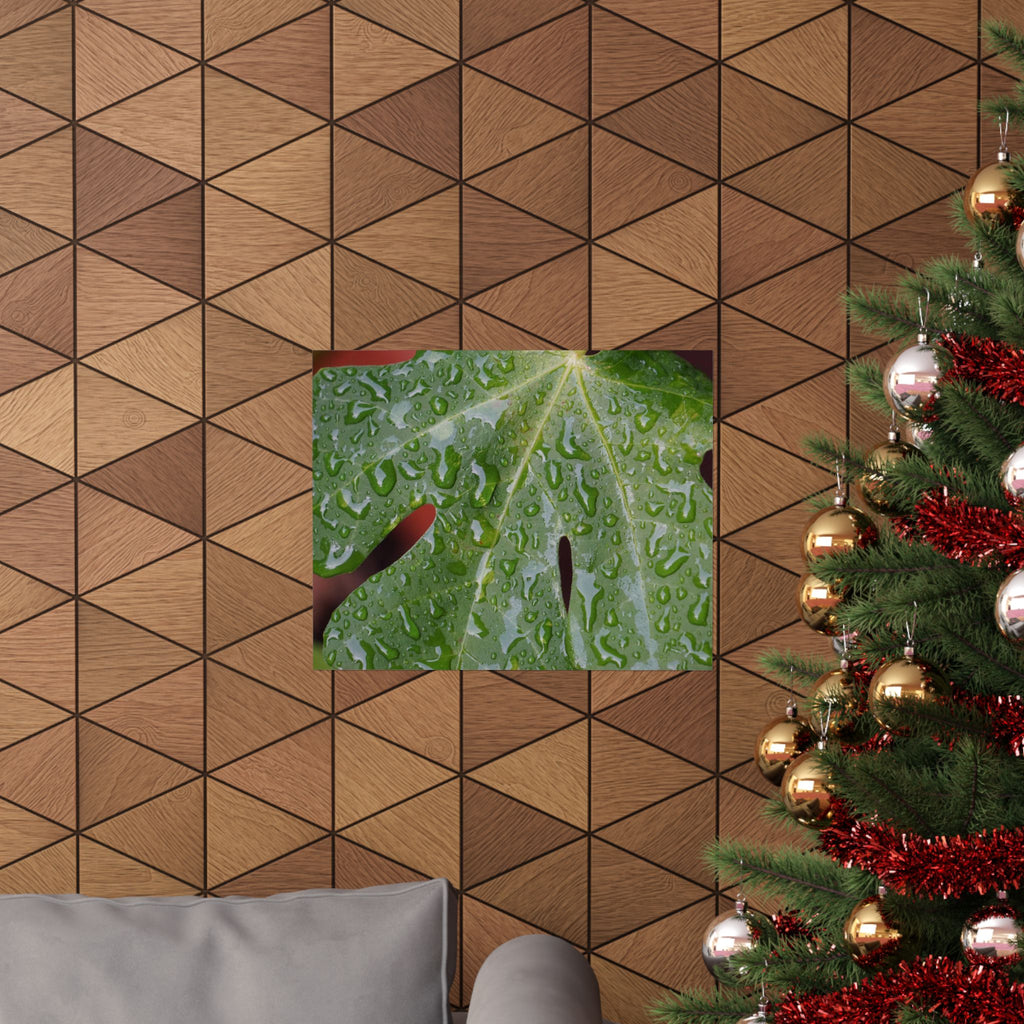 Fig Tree Tears poster