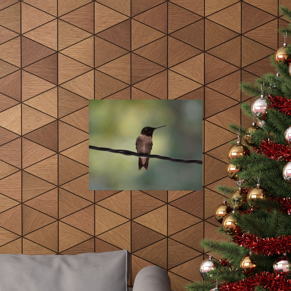 Hanging Out Hummingbird poster
