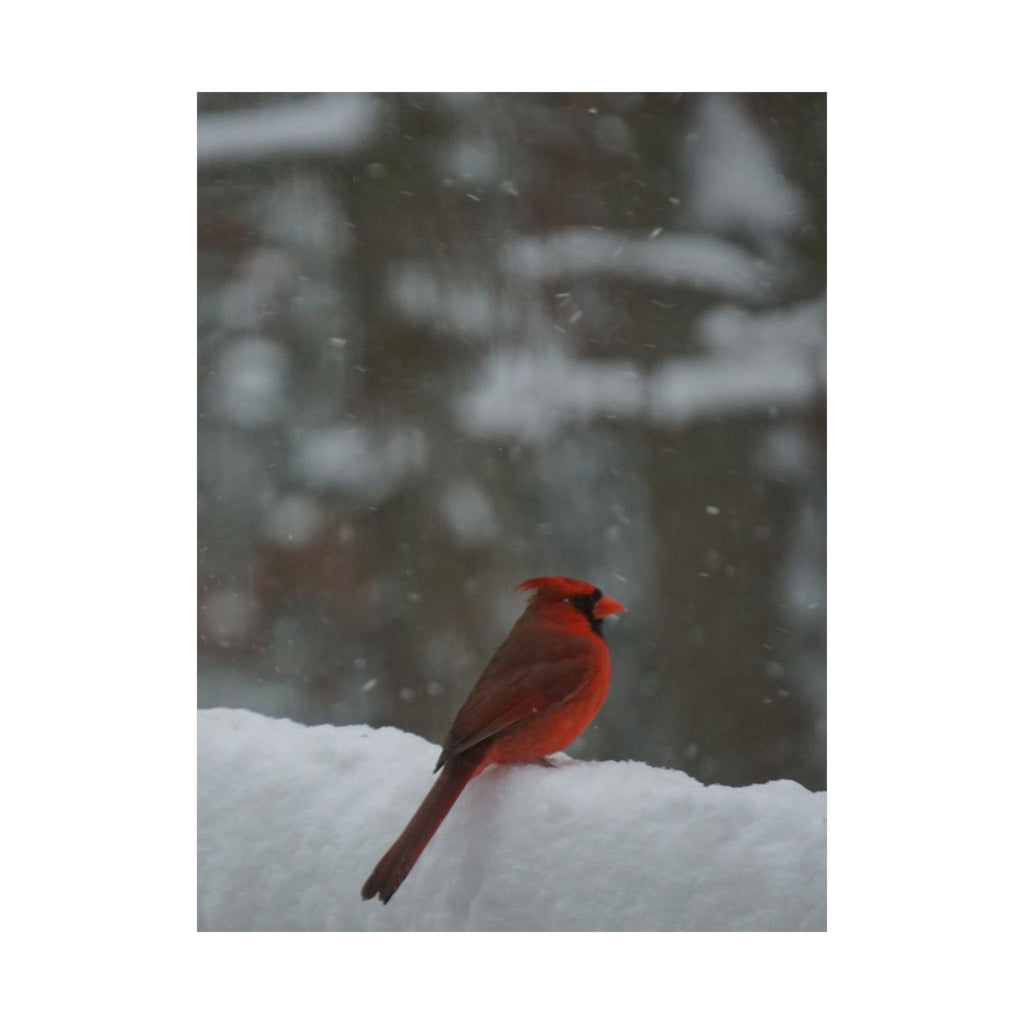 Winter Visitor poster