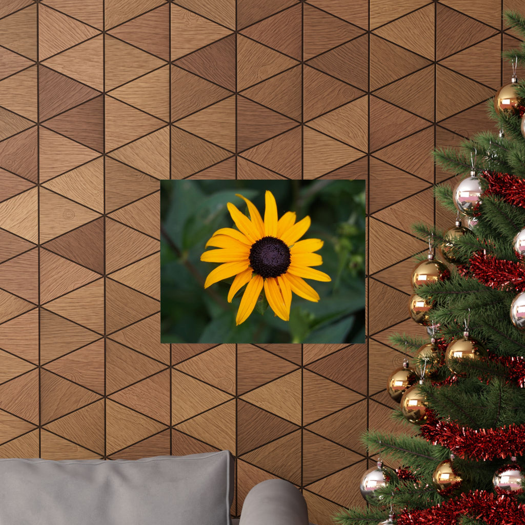Sunshine Garden poster