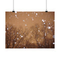 Rose Gold Snow poster