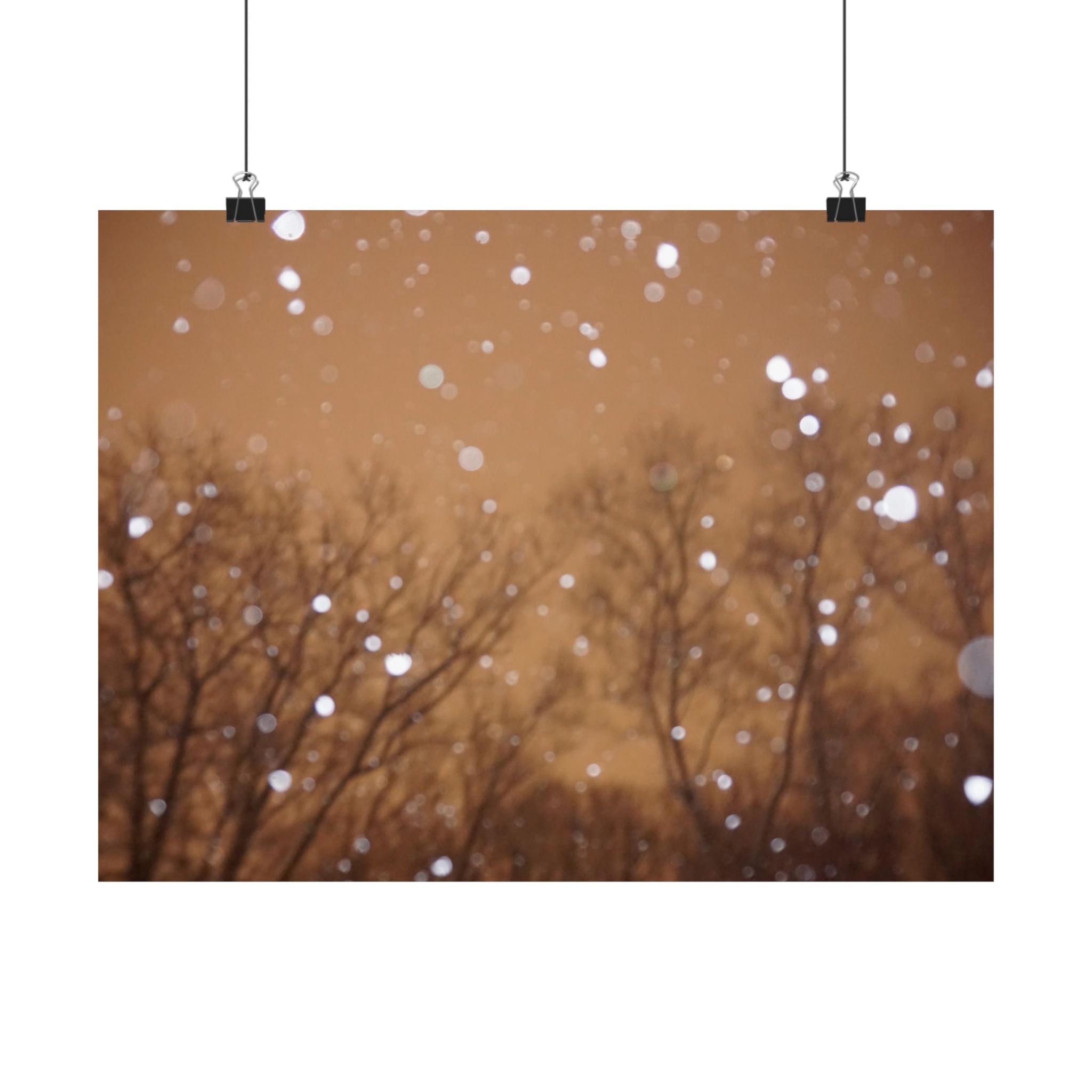 Rose Gold Snow poster