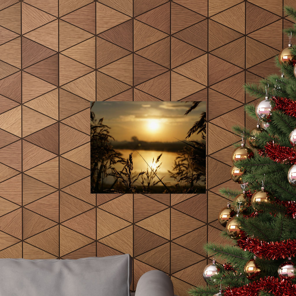 Morning Through The Reeds poster