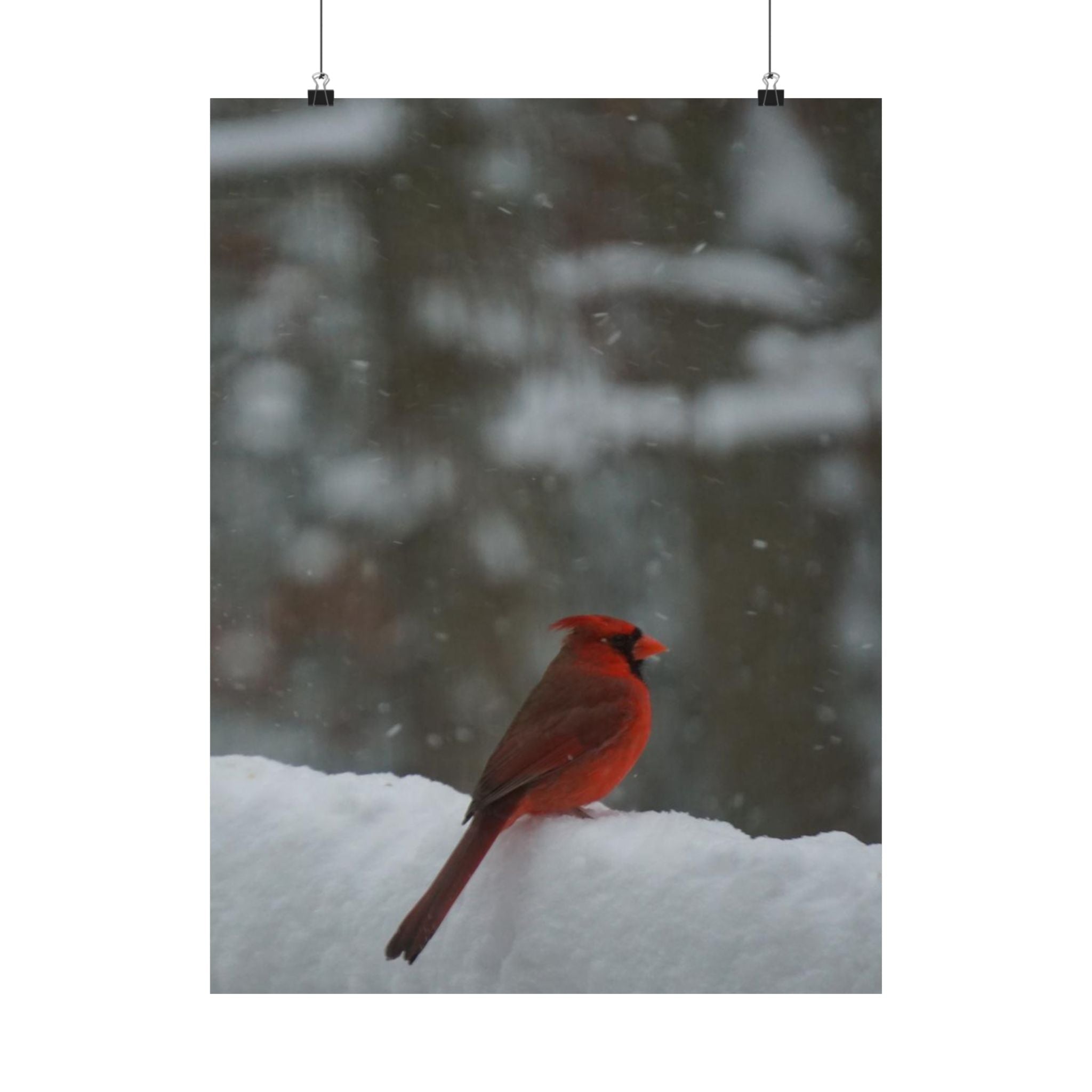 Winter Visitor poster